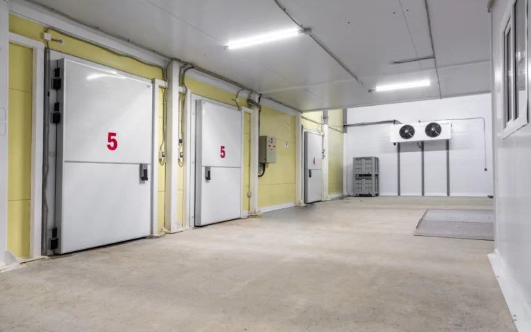 Profesjonalne komory chłodnicze do zastosowań przemysłowych.